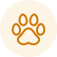 Contact Icon